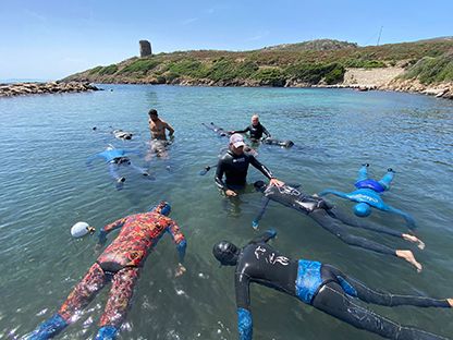 Cimbro all'Asinara