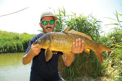 Flumini Mannu - Trofeo Psichedelico