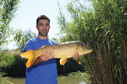 Villasor Big Carp