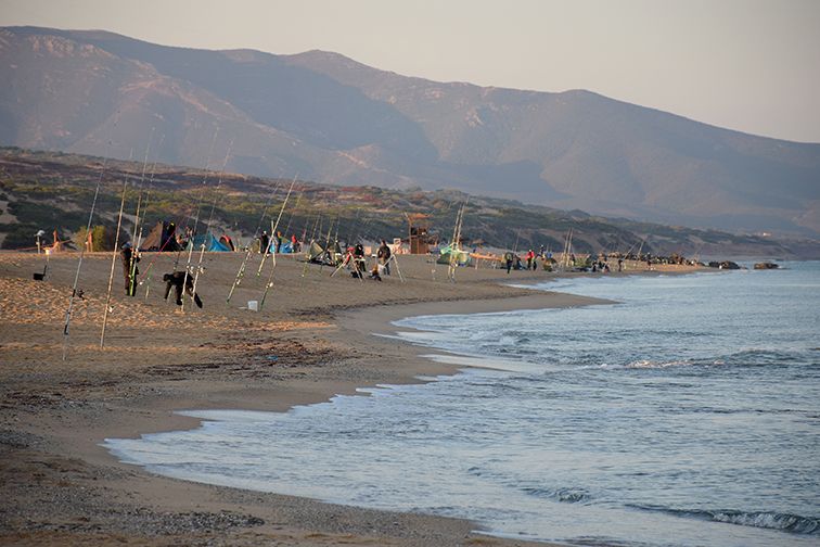 Tutto il Surfcasting di Settembre