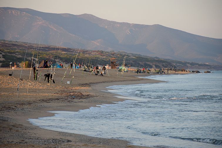 Tutto il Surfcasting                          di Settembre