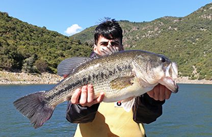 Monster of Flumendosa