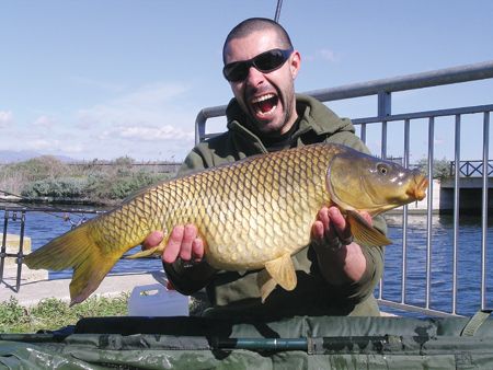 Il Fascino della Carpa