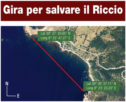 Gira per salvare il Riccio