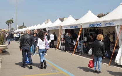 Nautic Show 2013