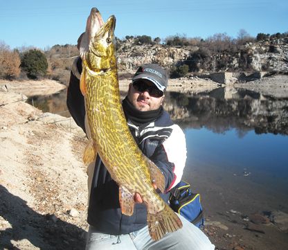 Big Pike in Sardegna