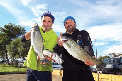 Master Fisher 2016