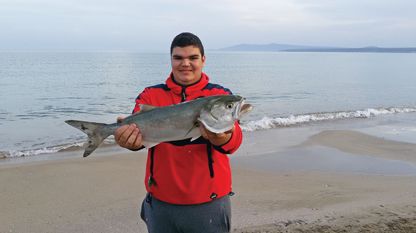 Pesce Serra e Arenicola