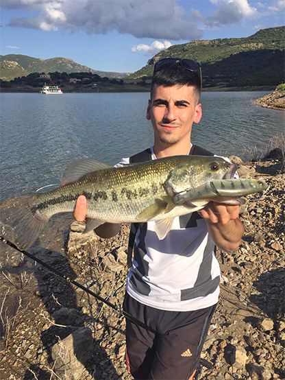 Swimbait Micidiale con i Big