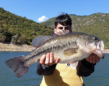 Inverno, Stagione da Big Bass