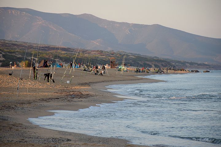 Tutto il Surfcasting                          di Settembre