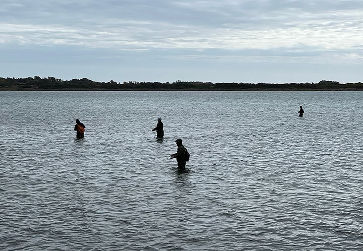 Pesca, ecologia e sostenibilità