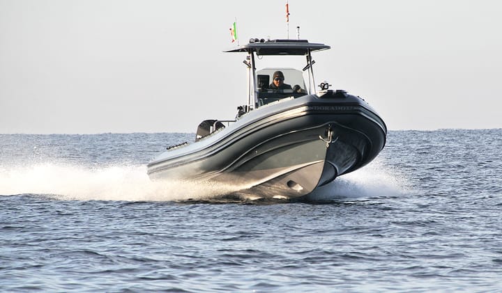 CAB DORADO 8,70 & MERCURY VERADO V8 300 HP