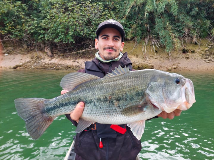 Errori da Bass Fisher