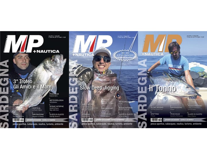 Editoriale 6/24