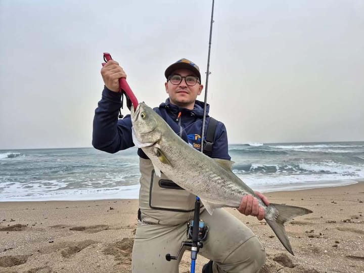 Skipping Baits