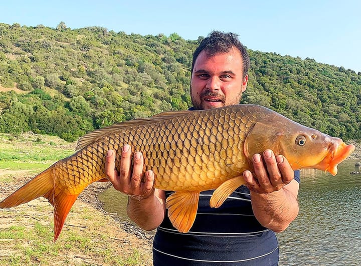 Carpe al Flumendosa