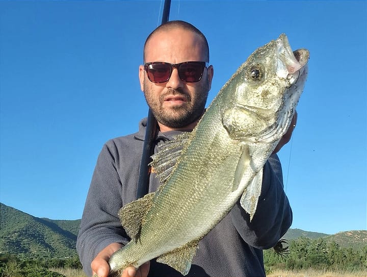 Spigola Fuori Stagione