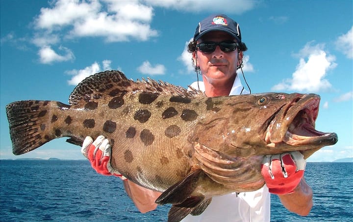Big Bait, Big Fish
