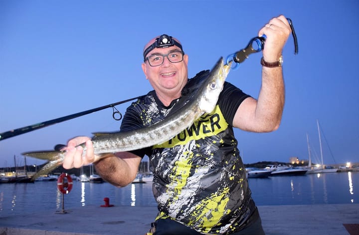Barracuda dietro la Scia
