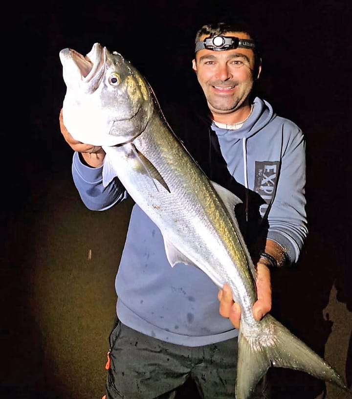 La Cattura di Novembre