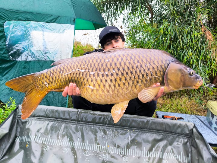 La Catture di Gennaio 2026