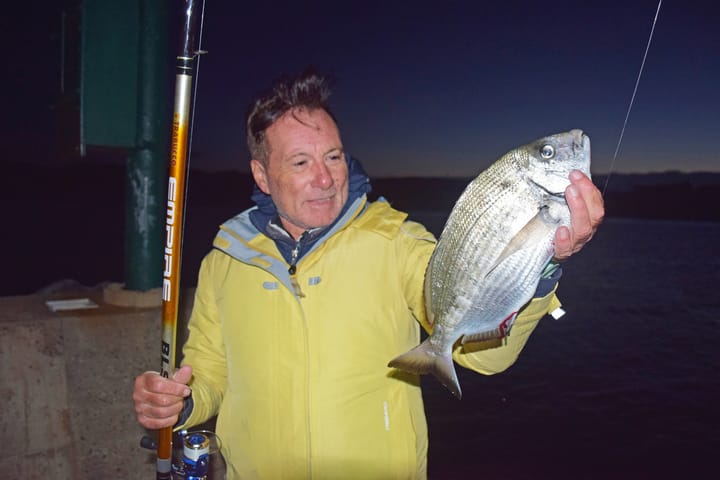 Tentacoli per Saraghi